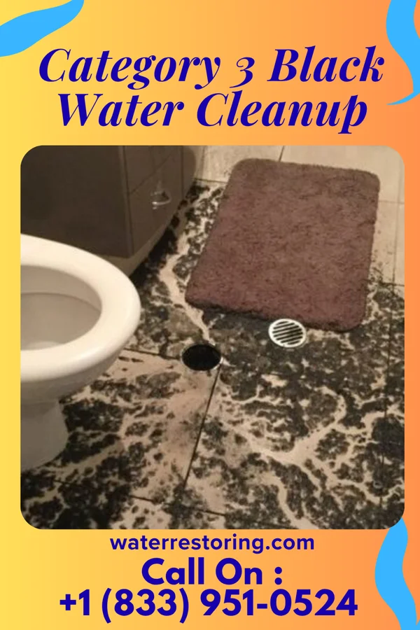 Category 3 Black Water Cleanup in Lakin, KS